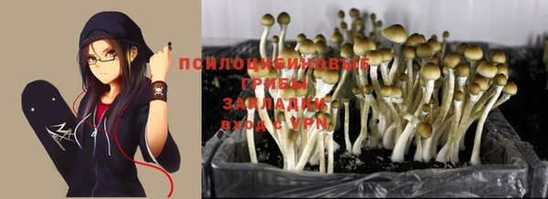 не бодяженный Абдулино