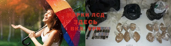 прущие крисы Абаза