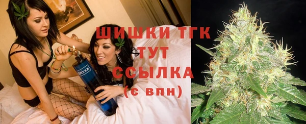 прущие крисы Абаза
